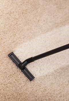 Local Carpet Cleaning Services Studio City